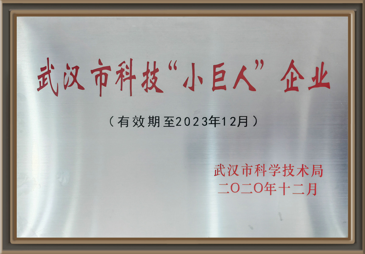 武汉市科技“小巨人”企业